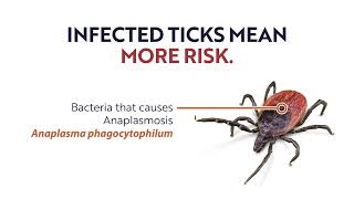 National Tick Awareness Month 2024 Fitter Better Faster Stronger [upl. by Atiniv119]