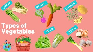 Types of Vegetables for kids  Root  Stem Pod  Tuber  Bud  Bulb  Learn Vegetables [upl. by Grew647]