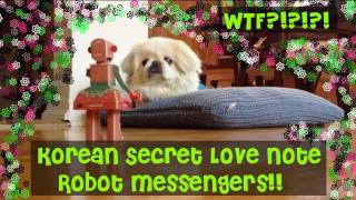 WTF Korean Robot Secret Love Messengers [upl. by Naltiac483]