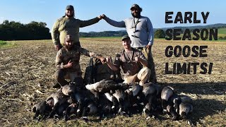 EARLY SEASON GOOSE LIMITS  PA Goose Hunting 20232024 [upl. by Sherris]