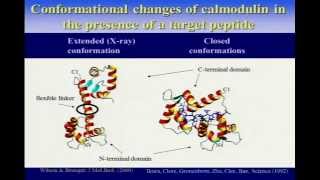 WeNMR lecture on paramagnetic NMR and demo of the MAXOCC portal by Prof A Rosato [upl. by Frendel]