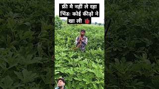 comedy kishan funny 123kishan kisan farming agriculture voiceeffects duet fouryoupage [upl. by Traver776]