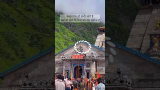 kedarnath mein bhole Baba ke darshan kedarnath shorts youtubeshorts ytshorts [upl. by Philcox]