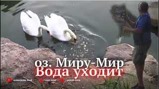 Озера сохнут Миру Мир МИНУС 1м 20см от нормального уровня гЗапорожье 12 сент 24 г [upl. by Gnouhk]