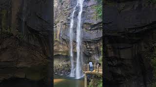 Aberdeen Waterfall Sri Lanka calmdown music waterfalls srilanka travel travelsrilanka nature [upl. by Tommie]