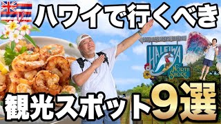 ハワイ観光スポット9選オアフ島の人気観光地ノースショア、シニア夫婦ハワイ旅行VLOG2023年11月④ [upl. by Vyse]