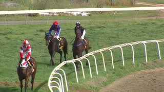 Mudgee 05 10 2024 Race 4 [upl. by Anabal]