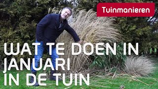 Januari in de tuin wat te doen  Winter  Tuinmanieren [upl. by Tadich17]