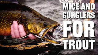 Mice amp Gurgler Patterns for Trout  Tom Rosenbauer [upl. by Ury]