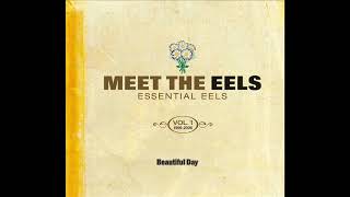 EELS  Greatest Hits [upl. by Ranzini188]