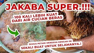 Pupuk Organik Cair ini 100 Kali Lebih Kuat Dari Air Cucian Beras  Leri  JAKABA SUPER [upl. by Deanne74]