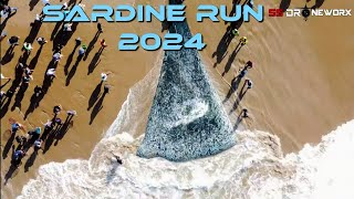 Sardine Run 2024 [upl. by Royd846]