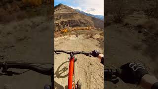 Skier Vs Mountain Biker [upl. by Isiah]