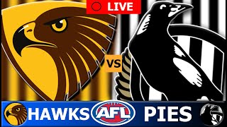 HAWTHORN vs COLLINGWOOD  2024 AFL Round 19 Live Stream [upl. by Arikahc147]