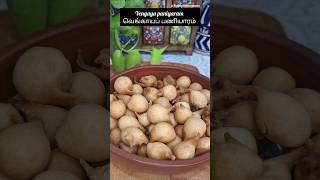 ❤️Vengaya Paniyaramவெங்காயப் பணியாரம்Traditional Recipieseveningsnacks shorts [upl. by Ahsinav]