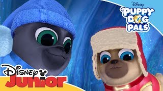 Puppy Dog Pals 🐶  Magical Moment Antarctic Adventure  Official Disney Channel Africa [upl. by Jeminah308]