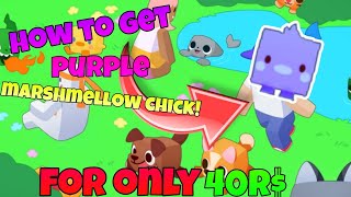 HOW TO GET EXCLUSIVE PURPLE MARSHMELLOW CHICK [upl. by Enoyrt]