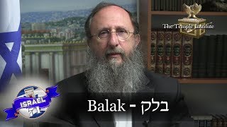 Weekly Torah Portion Balak [upl. by Flemming262]