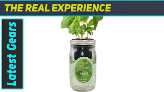 Grow Your Own Fresh Basil Indoors SelfWatering Mason Jar Herb Garden Kit Review [upl. by Marge]