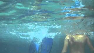 John Frusciante Unreachable Live Underwater [upl. by Sloan376]