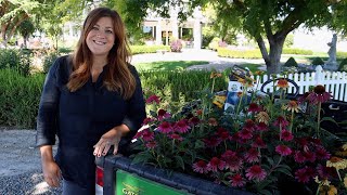 Planting 5 Varieties of Echinacea 🌸🌿💚  Garden Answer [upl. by Ittap119]