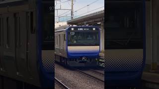 e235系1000番台F38編成の省エネ試運転〜付属のJ14編成 列車 鉄道 試運転 e235系1000番台 e235系 横須賀線 総武線 総武線快速 [upl. by Aplihs900]