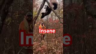 Black Squirrel😮 hunting funny fyp election shorts [upl. by Nakeber192]