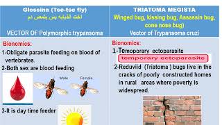 Glossina amp Triatoma Blood module Dr Khaled habib [upl. by Jessalin]