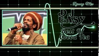 Cocoa Tea Best of The Best Greatest Hits mix by djeasy [upl. by Riamo901]