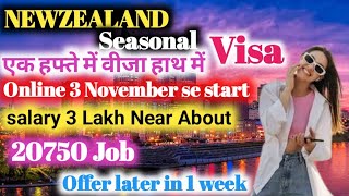 Newsland Seasonal Visa 2024newsland israel jobsearch [upl. by Pallua]