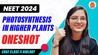 Photosynthesis in Higher Plants in One Shot  CBSE Class 11 Biology  NEET 2024 [upl. by Premer630]