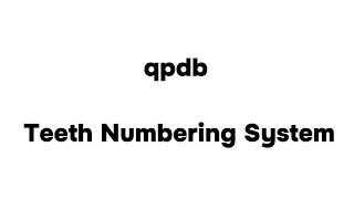 شرح نظام الترقيم الجديد للاسنان  qpdb Teeth Numbering System [upl. by Ellennod]