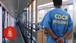 5 Incredible Prison Rehabilitation Programs [upl. by Yrrat266]