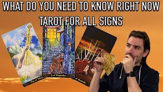 WHAT DO WE NEED TO KNOW RIGHT NOW  TAROT FOR ALL SIGNS 07112024 [upl. by Yhtommit]