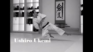 Basic Aikido Ukemi Ushiro Ukemi Tutorial [upl. by Douville]