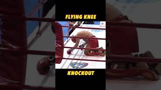 Flying Knee Knockout [upl. by Asiar]