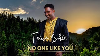 Taiwo Oshin  No One like You Official Video [upl. by Auric]