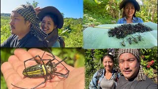 Spider hunting part one  how to hunt cook and eat spider bizarre Naga delicacy  Nagaland [upl. by Lindholm957]