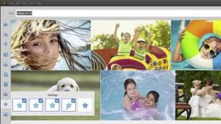 Learn Easy Photo Editing in Photoshop Elements 15 [upl. by Dasya391]