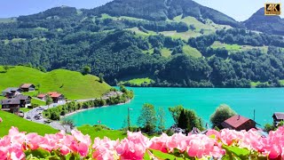 Lungern Switzerland 🇨🇭 One of the Most Beautiful Swiss Villages  swiss swissview [upl. by Adnamra804]