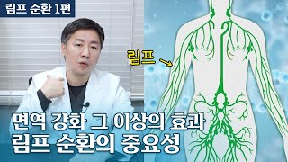 림프 순환의 중요성 전신 노폐물 청소감염 방지암 예방 그 이상의 효과  림프 마사지 2024 ver 업데이트 1편이론 [upl. by Radack279]