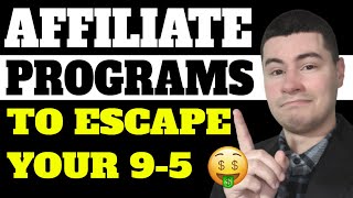 Best Types Of Affiliate Programs That Will Replace Your Job Once amp For All [upl. by Ekralc]