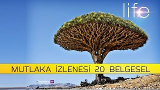 MUTLAKA İZLEMENİZ GEREKEN 20 BELGESEL [upl. by Annoled]