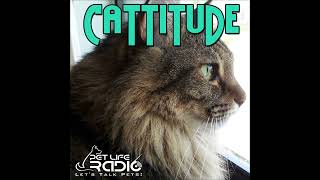 Cattitude  Episode 95 Cats Are A Liquid [upl. by Schultz]