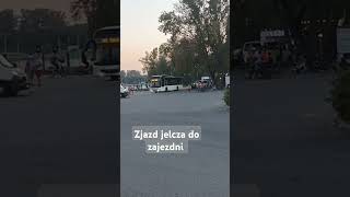 Zjazd jelcza do zajezdni autobus mzk toruń music [upl. by Zaob]