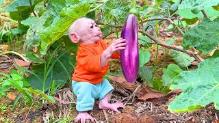 Jic Jic harvests fruit at the farm and cooks with his dad [upl. by Lrub]