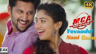 Yevandoi Nani Garu 4K Video Song  MCA  Middle Class Abbayi  Nani  Sai Pallavi  DSP Dil Raju [upl. by Speroni]