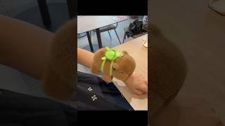 Capybara Watch ⌚ toys viral plushtoy capybara shorts [upl. by Silvan]