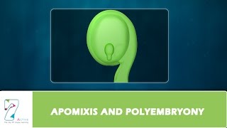 APOMIXIS AND POLYEMBRYONY [upl. by Tonjes]