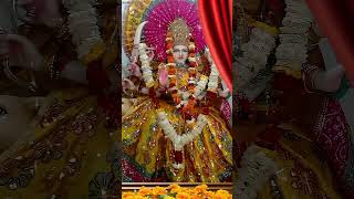 Durga maa song navratri💫✨🌺🙏❤navratridurgamaadurgapujastatusshortstrendingjubinnautiyalhappy [upl. by Pail94]